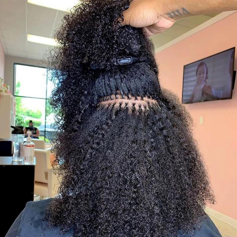 Burmese Curly Tips