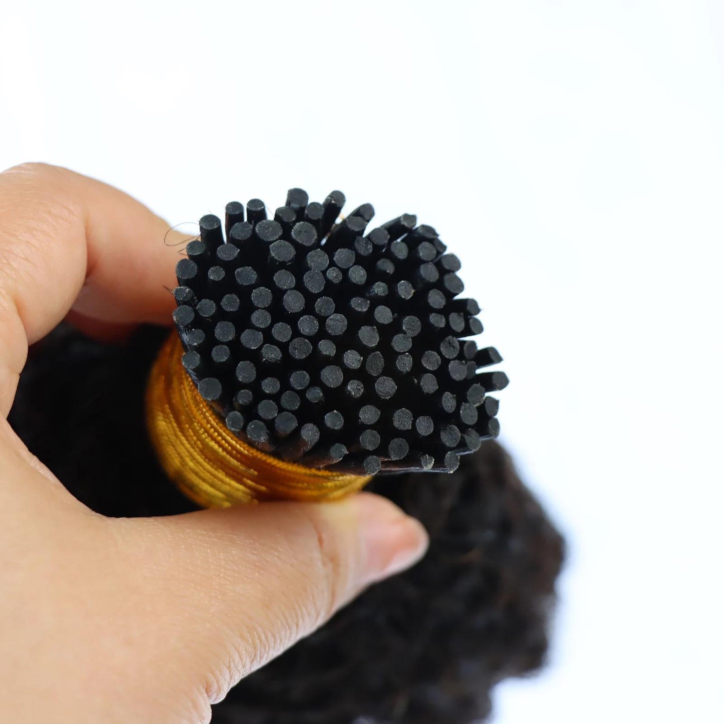 Burmese Curly Tips