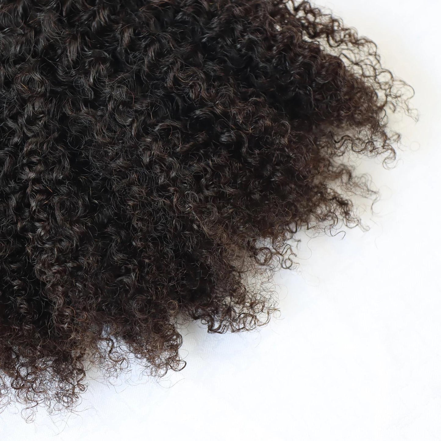 Burmese Curly Tips